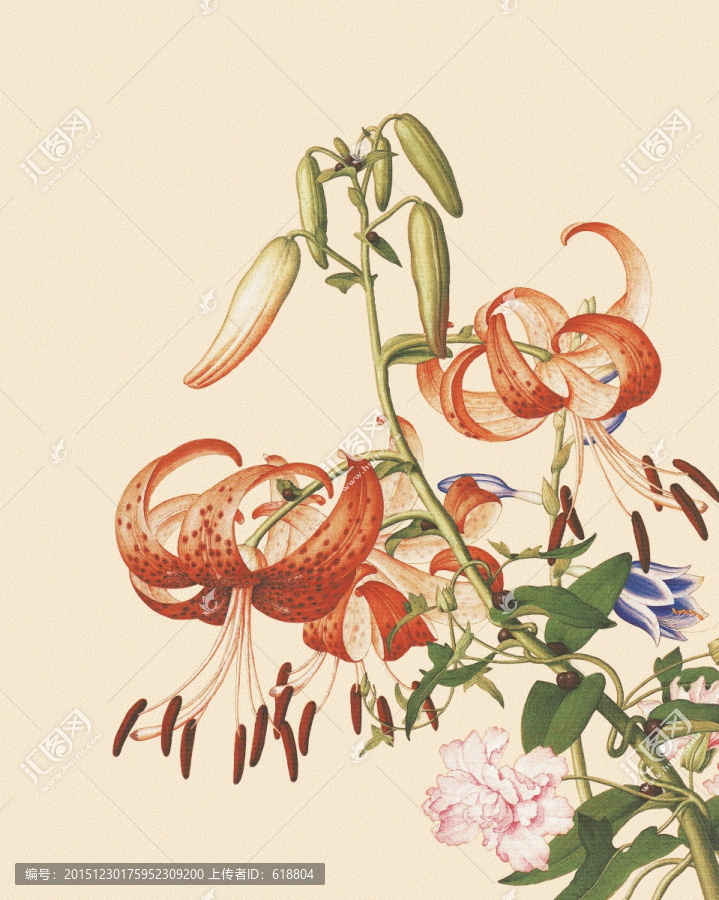 花鳥國畫