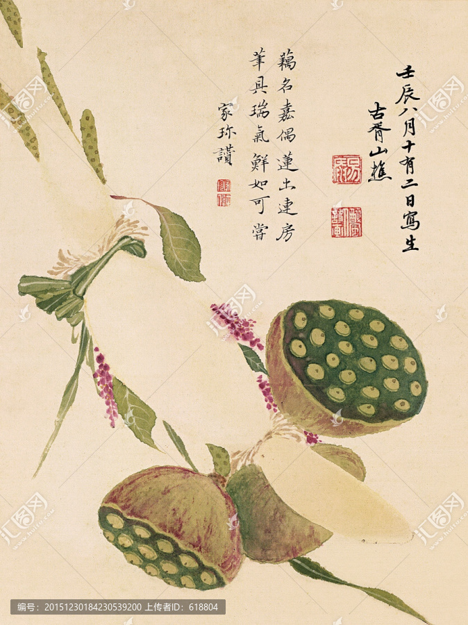 工筆花鳥國畫