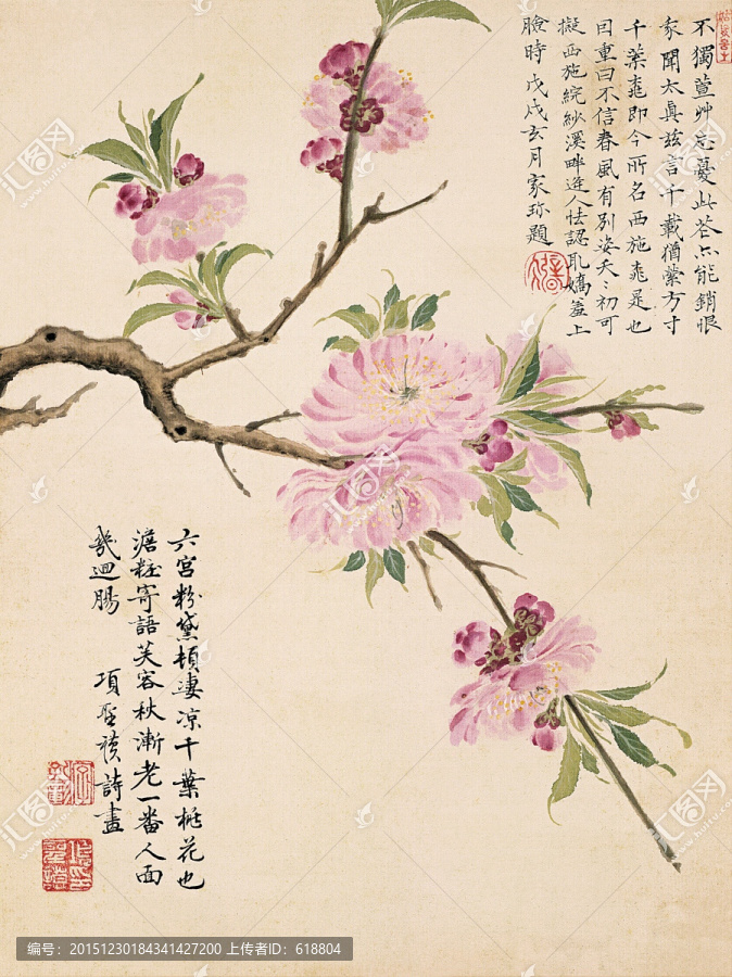 工筆花鳥國畫