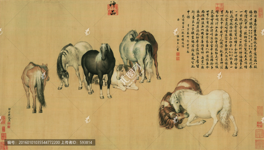 郎世寧,八駿圖