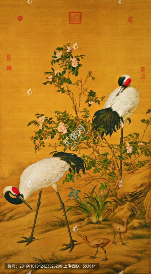 郎世寧,花卉雙鶴圖軸