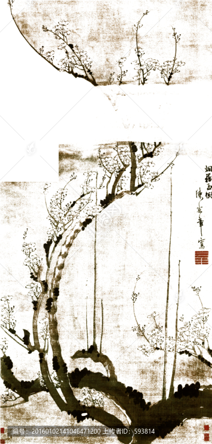 陳錄,煙籠玉樹圖