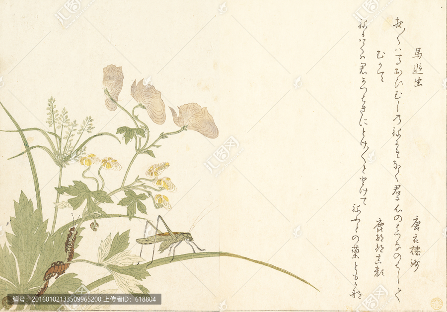 高清橫幅美女浮世繪