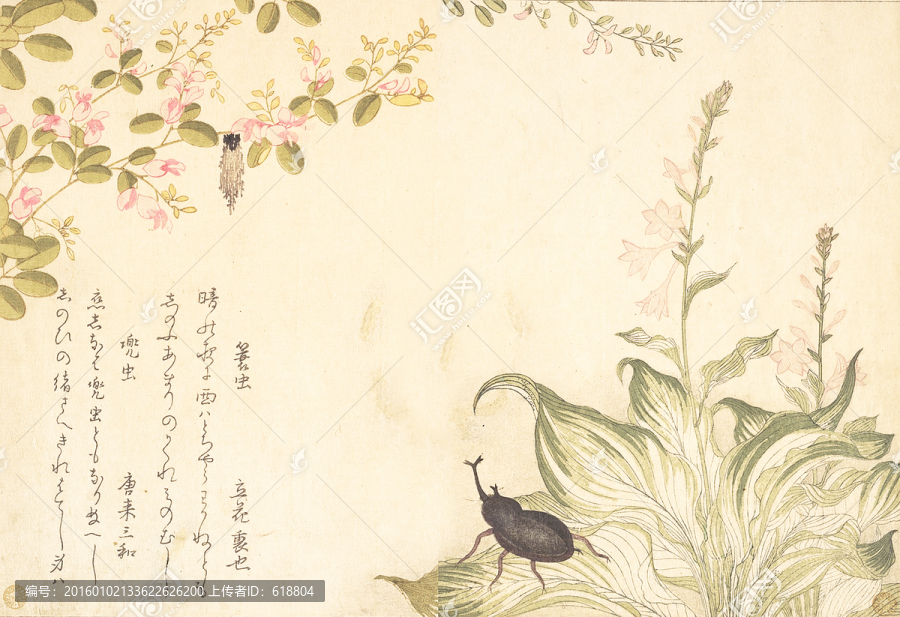 高清橫幅花草浮世繪