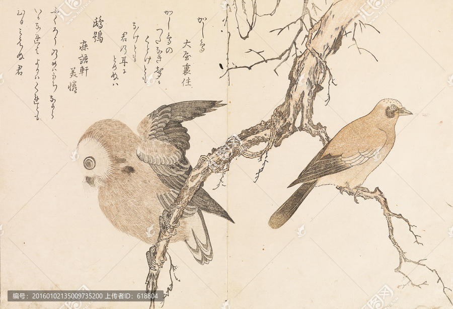 高清橫幅花鳥浮世繪