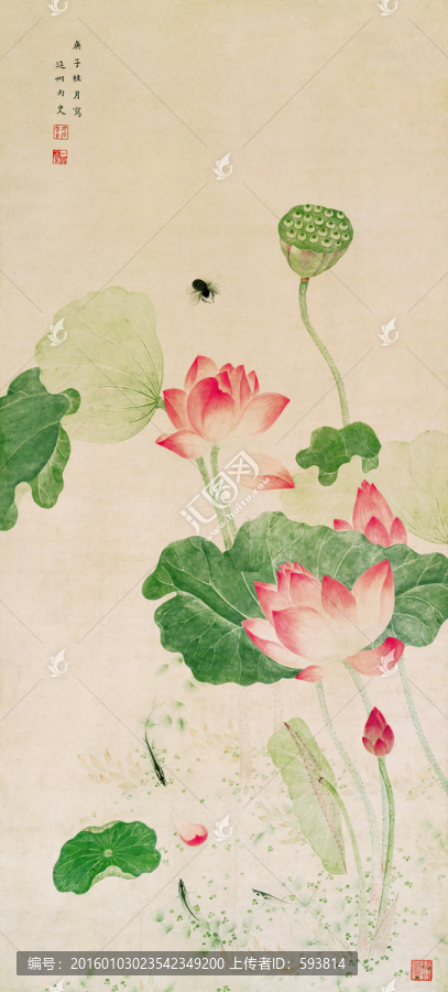 吳應(yīng)貞,荷花圖