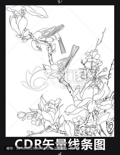 白描花鳥