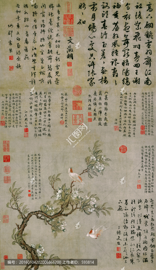陸治,花鳥國畫