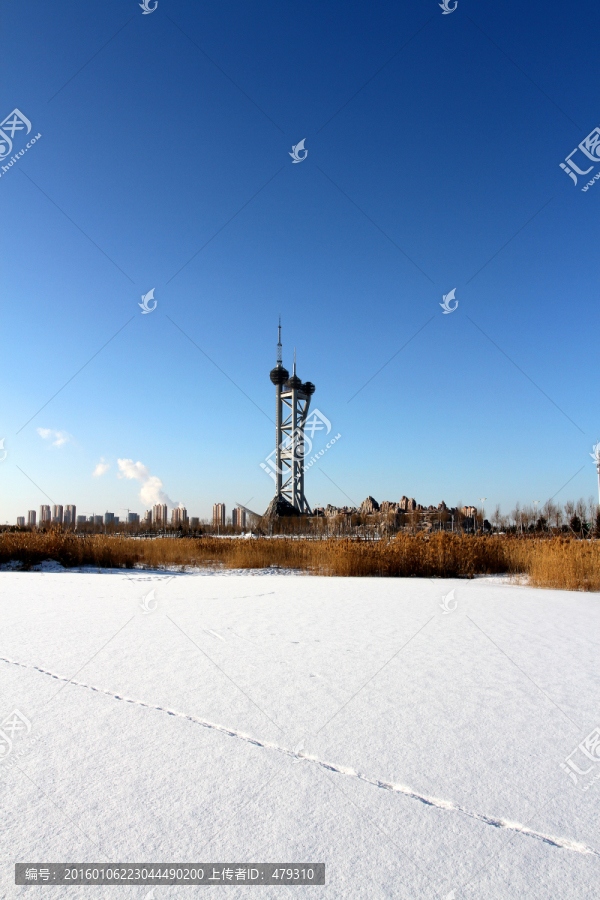 湿地,芦苇,冬天,观光塔,白雪