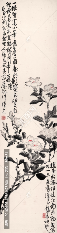 陳師曾,玉質(zhì)自能無暑意,未分層