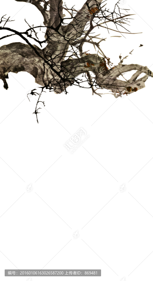 程璋,雙貓窺魚圖,未分層