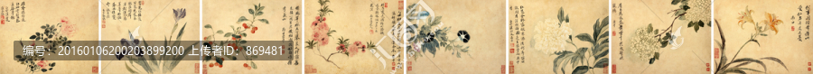 華巖,花鳥草蟲冊頁,未分層
