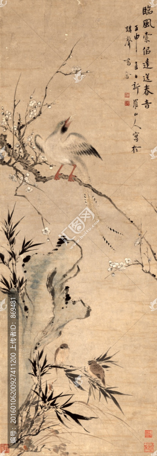 華巖,花鳥畫立軸,未分層