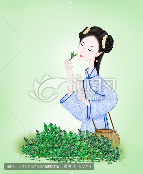 采茶女（分層）