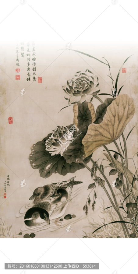 張若靄,蓮塘浴鴨圖