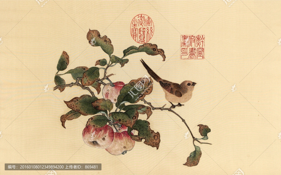 黃筌,蘋婆山鳥圖,未分層
