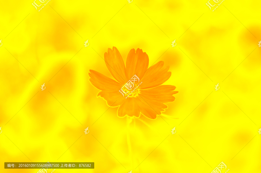 碎花素材