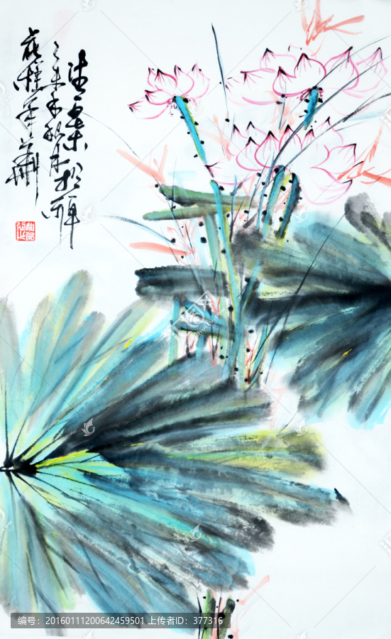 池塘新趣