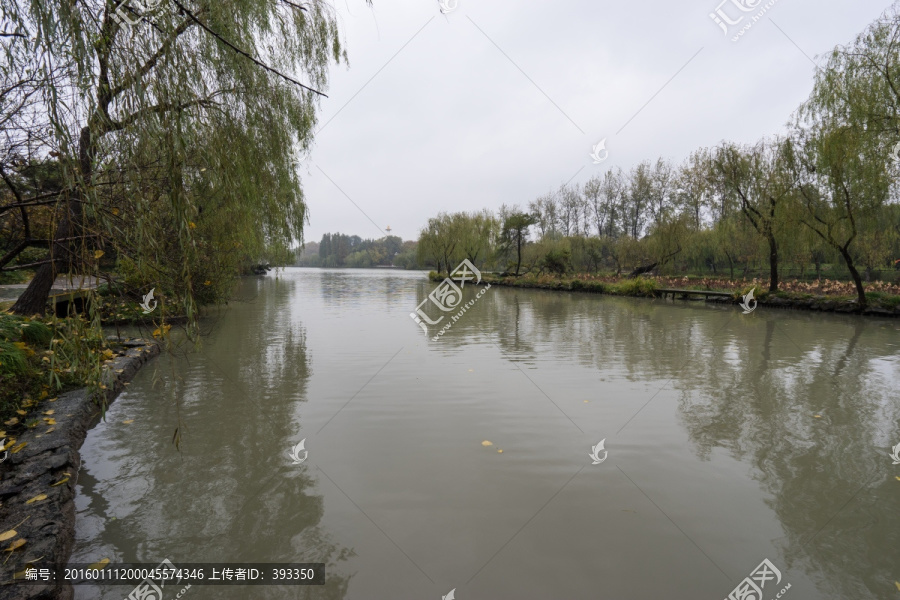 瘦西湖小景