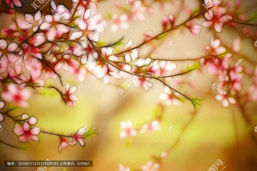 花卉裝飾畫,桃花枝