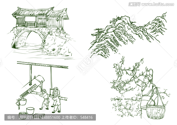 茶樹油風(fēng)俗小圖