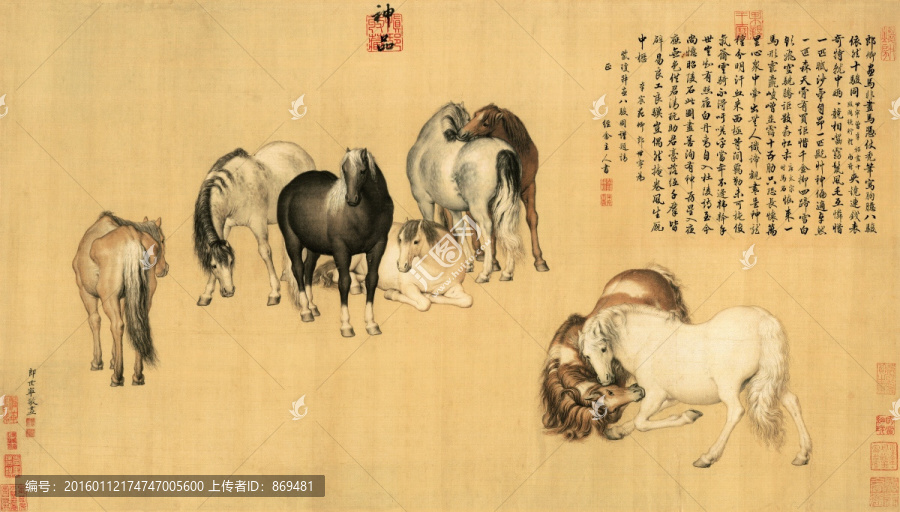 郎世寧,八駿圖,未分層