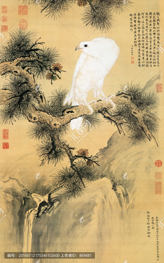 郎世寧,白鷹圖,未分層
