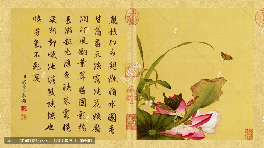 郎世寧,花鳥圖冊,荷花,未分層