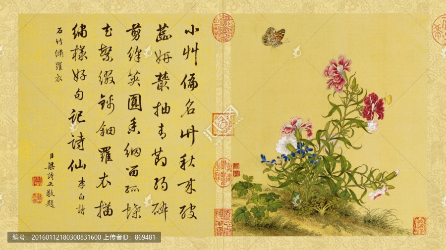 郎世寧,花鳥圖冊康乃馨,未分層