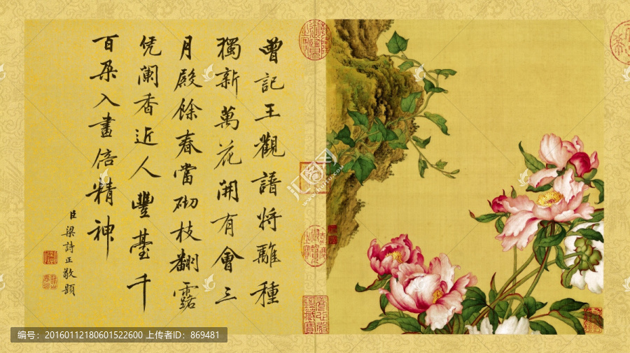 郎世寧,花鳥圖冊,芍藥,未分層