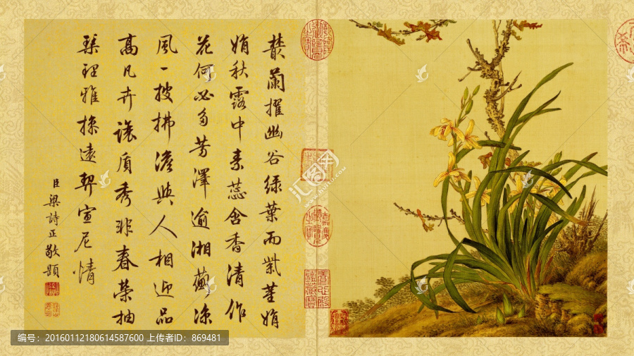 郎世寧,花鳥圖冊(cè),萱草,未分層