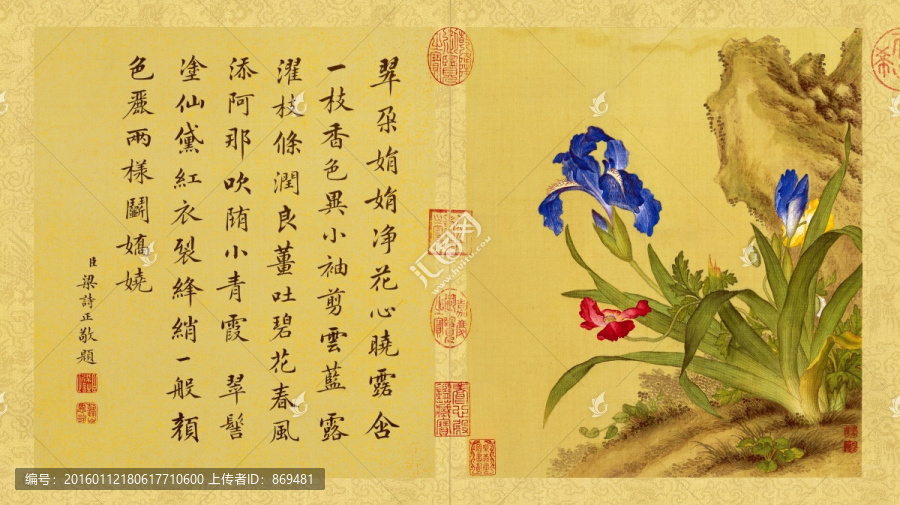 郎世寧,花鳥圖冊鳶尾花,未分層