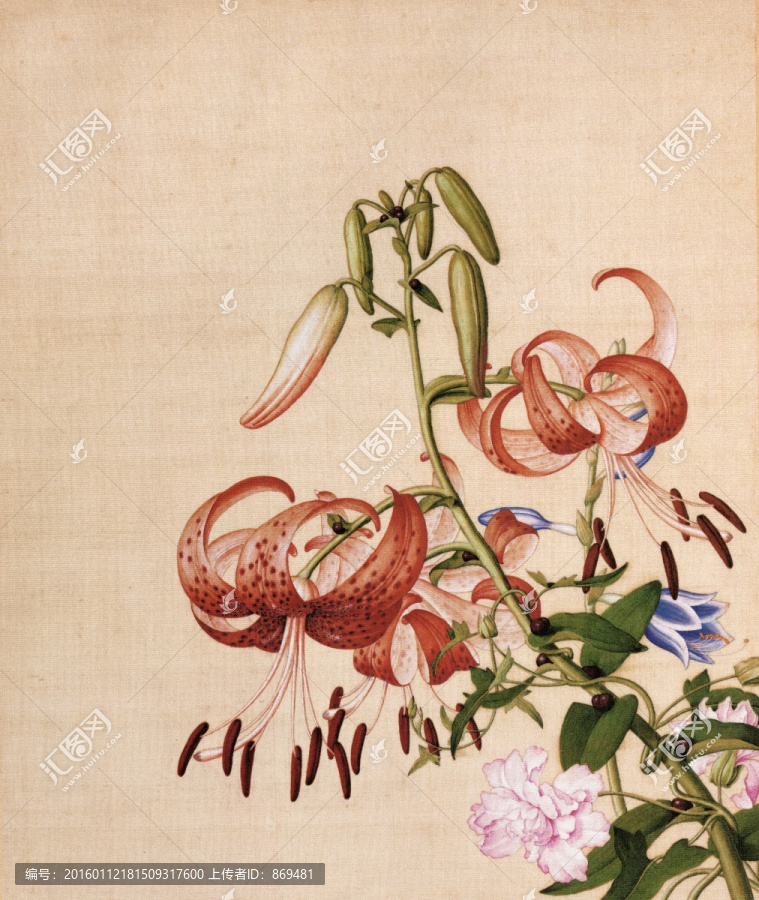 郎世寧百合花與纏枝牡丹,未分層