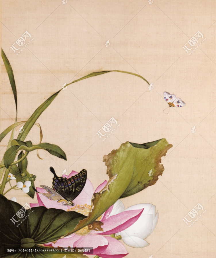 郎世寧,荷花與慈姑花,未分層