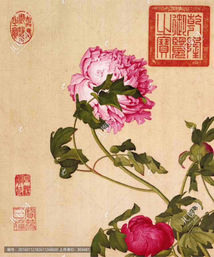 郎世寧,仙萼長春圖牡丹,未分層