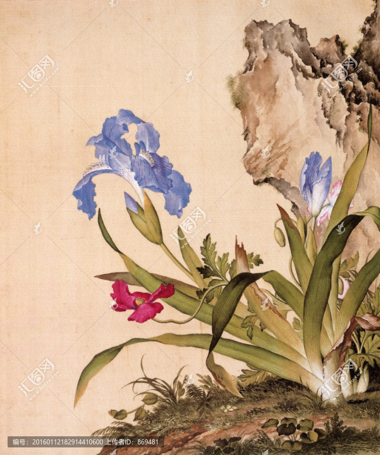 郎世寧,仙萼長春圖石竹,未分層