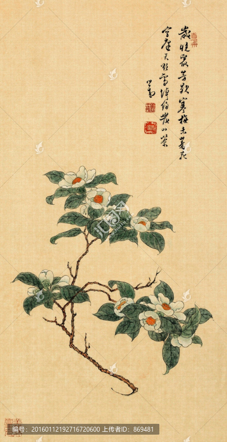 溥儒,花哇絹,未分層