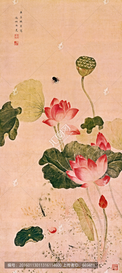 吳應(yīng)貞,荷花圖,未分層