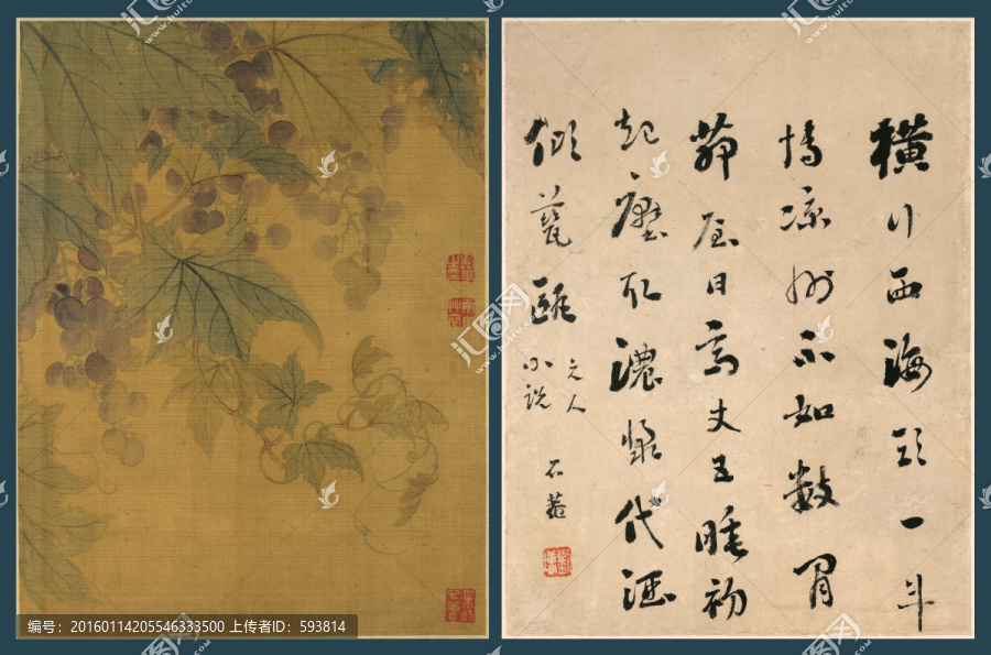 惲壽平,花卉圖冊