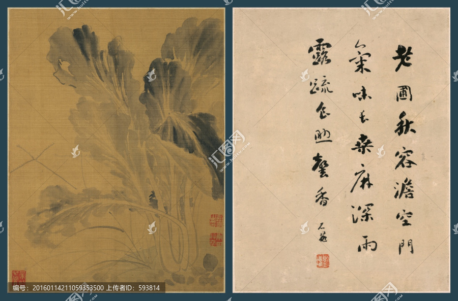 惲壽平,花卉圖冊(cè)