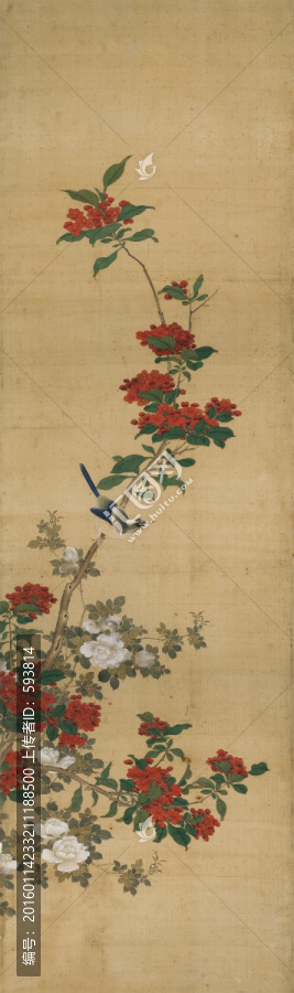 花鳥國畫