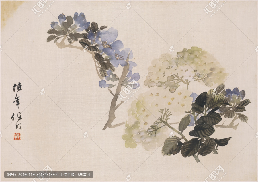 花鳥國畫