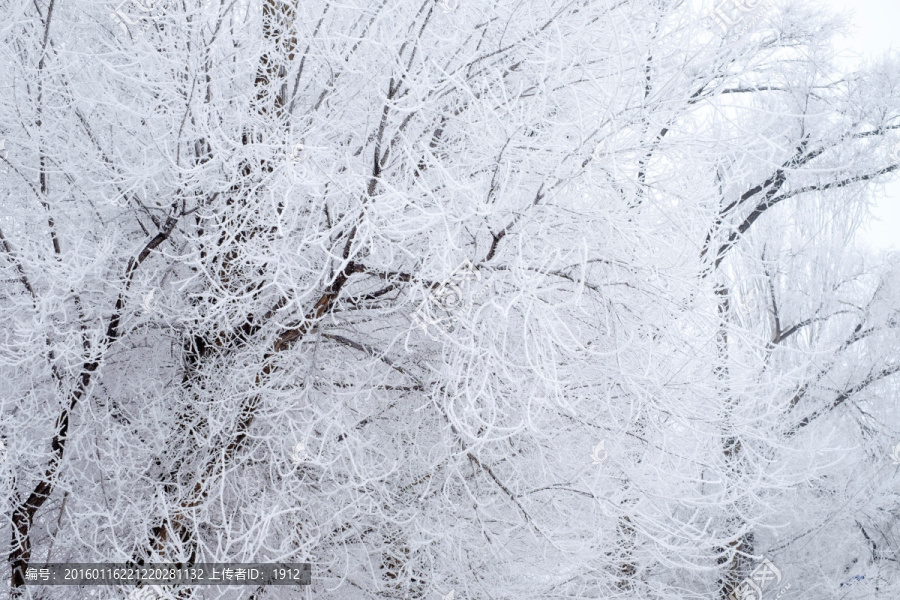 霧淞-匯圖網(wǎng) www.fosd68.com 霧淞