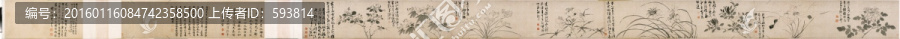 陳道復(fù),墨筆花卉