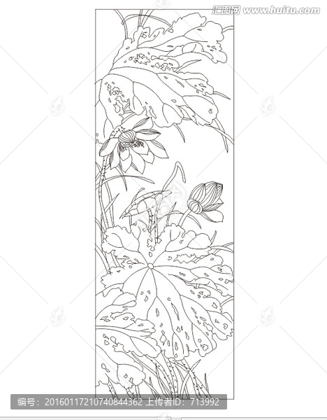荷花