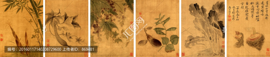 惲壽平,花果蔬菜,未分層