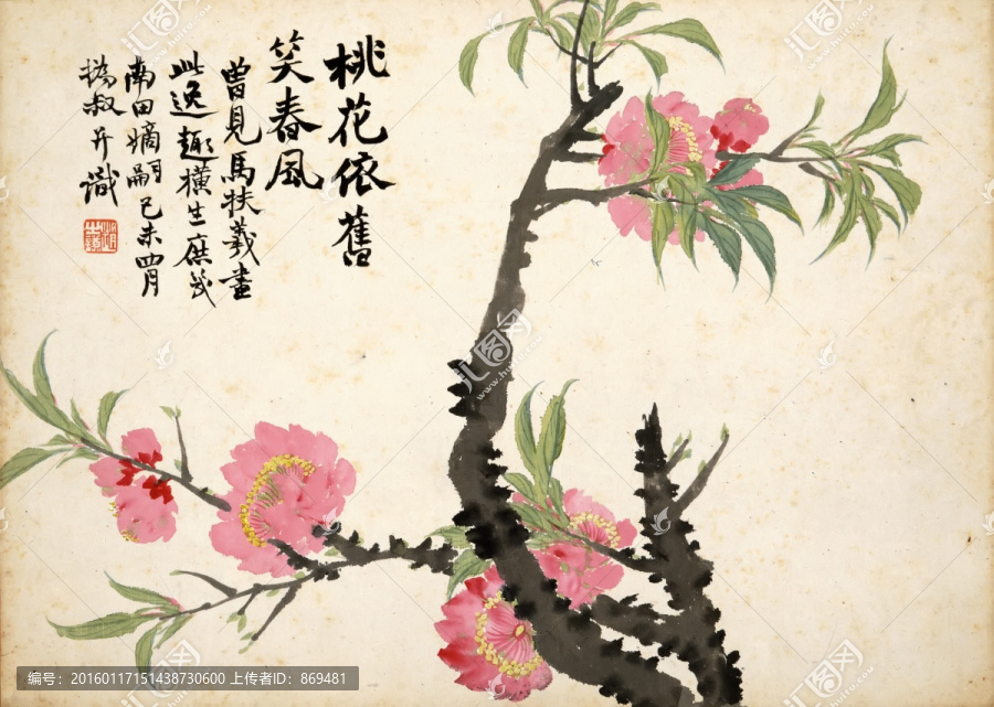 趙之謙,花卉圖冊,未分層