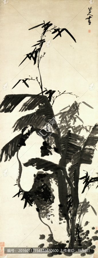 朱耷,芭蕉竹石圖,未分層