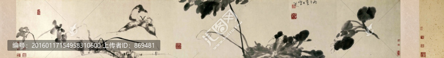 朱耷,貓石圖,未分層