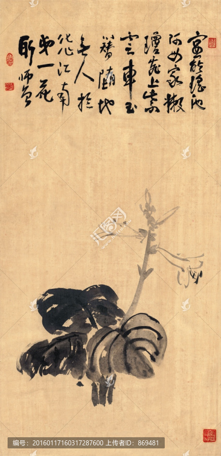 陳師曾,墨筆玉簪,未分層
